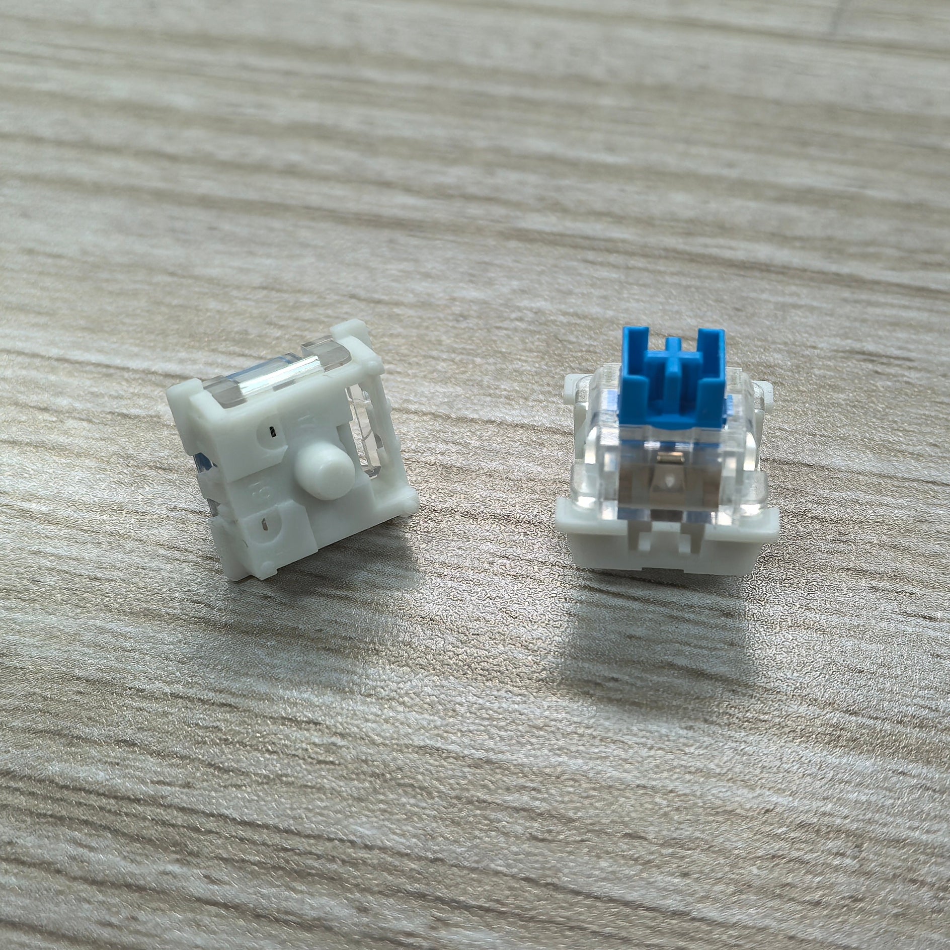 ClickPop – Tactile Click Switches 250 PACK PRESALE LIMITED QTY'S
